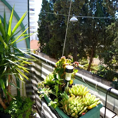 아파트 Spacious Center 스플리트