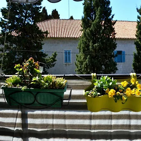 Spacious Center 아파트 *