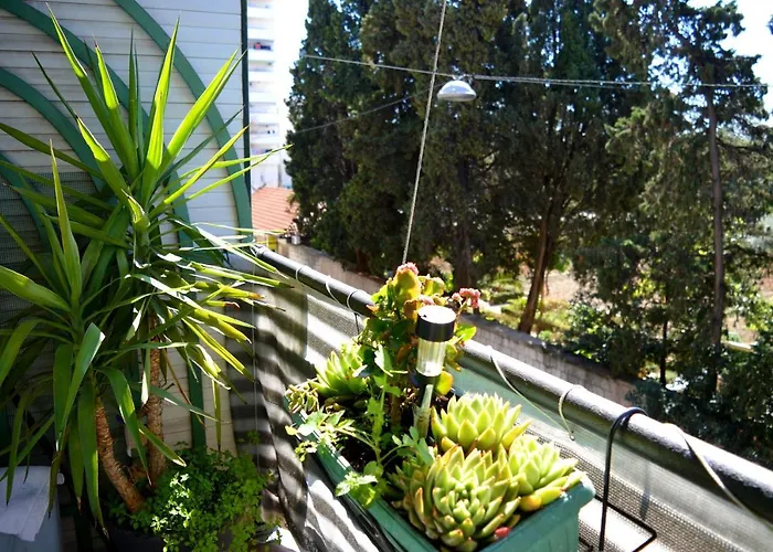 아파트 Spacious Center 스플리트